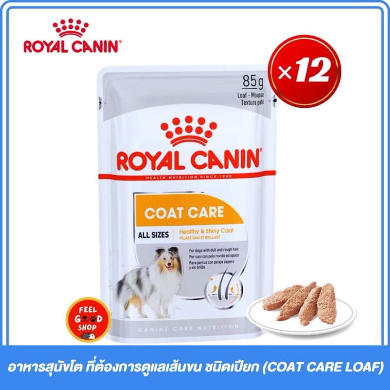 (ยกกล่อง 12ซอง Exp.06/12/26 ) Royal canin COAT CARE LOAF (85g/ซอง) อาหารสุนัขโต ที่ต้องการดูแลเส้นขน ชนิดเปียก